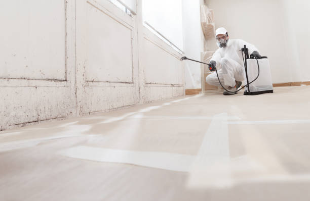 24/7 Emergency Attic Mold Remediation experts in New Braunfels, TX